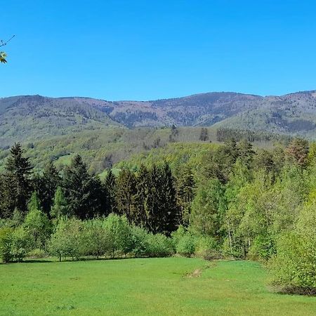 Ville Centre - Gite Le Villois - Au Coeur De L'Alsace Buitenkant foto
