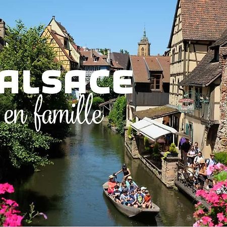 Ville Centre - Gite Le Villois - Au Coeur De L'Alsace Buitenkant foto