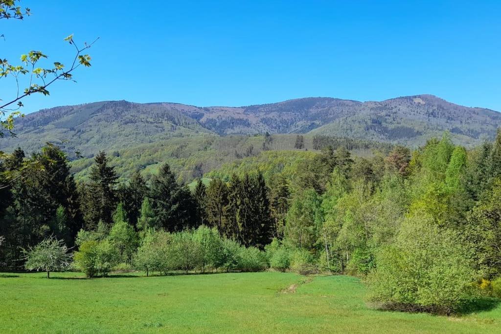 Ville Centre - Gite Le Villois - Au Coeur De L'Alsace Buitenkant foto