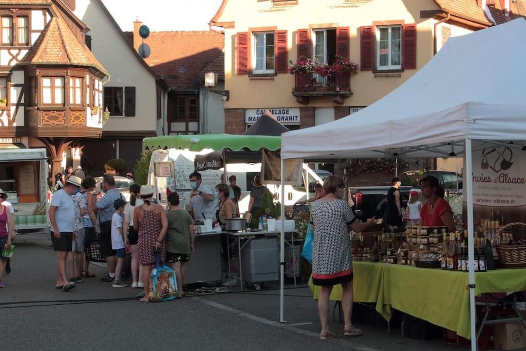 Ville Centre - Gite Le Villois - Au Coeur De L'Alsace Buitenkant foto