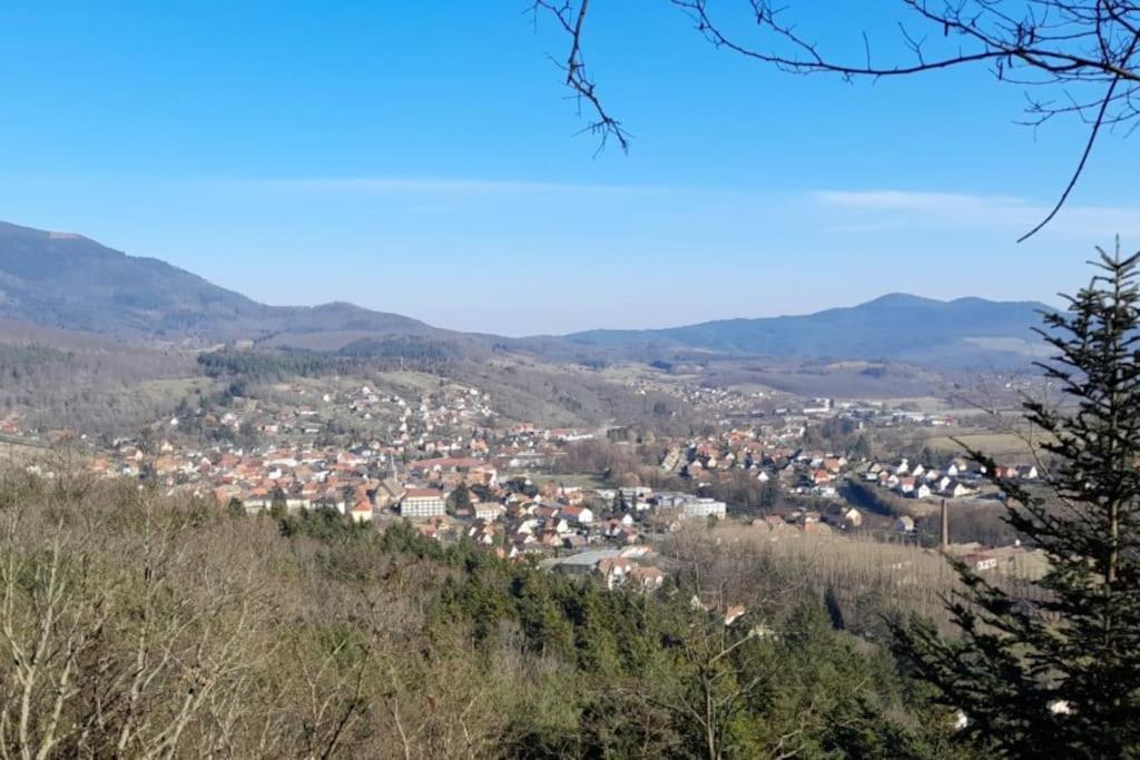 Ville Centre - Gite Le Villois - Au Coeur De L'Alsace Buitenkant foto