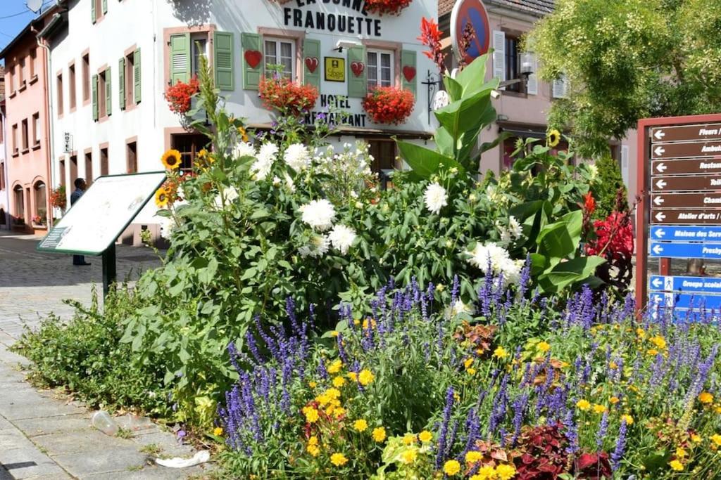Ville Centre - Gite Le Villois - Au Coeur De L'Alsace Buitenkant foto