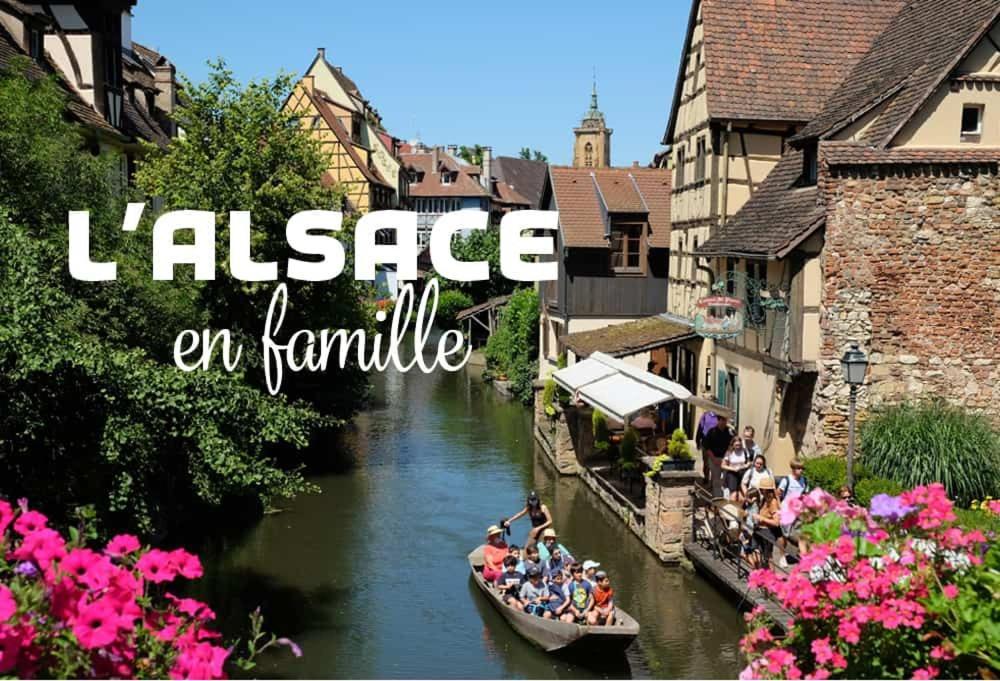Ville Centre - Gite Le Villois - Au Coeur De L'Alsace Buitenkant foto