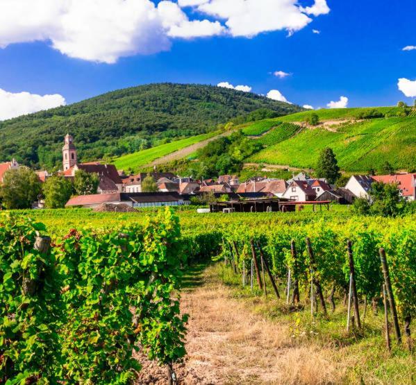 Ville Centre - Gite Le Villois - Au Coeur De L'Alsace Buitenkant foto