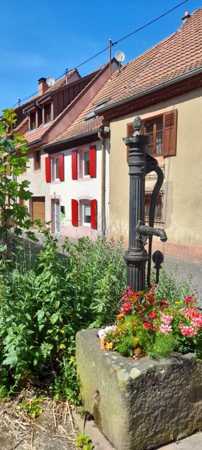 Ville Centre - Gite Le Villois - Au Coeur De L'Alsace Buitenkant foto